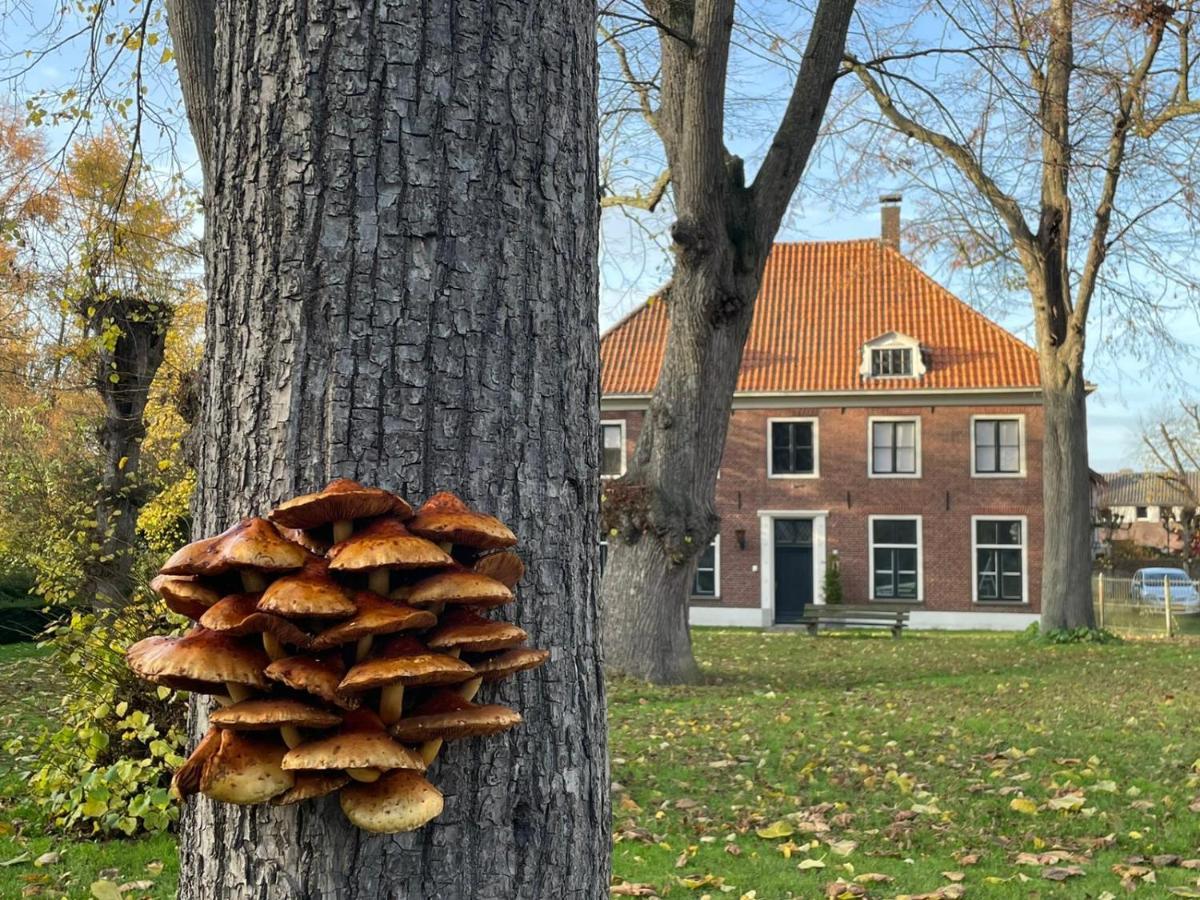 B&B Huize Placida Boxmeer Zewnętrze zdjęcie