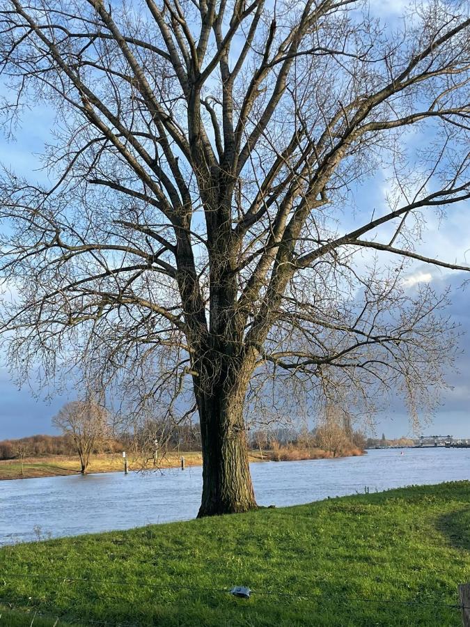 B&B Huize Placida Boxmeer Zewnętrze zdjęcie